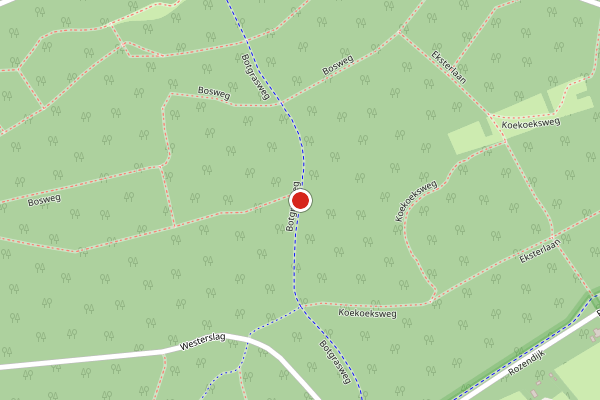 Brandweer-melding op Botgrasweg, Den Burg op 28 juni, kaart-overzicht