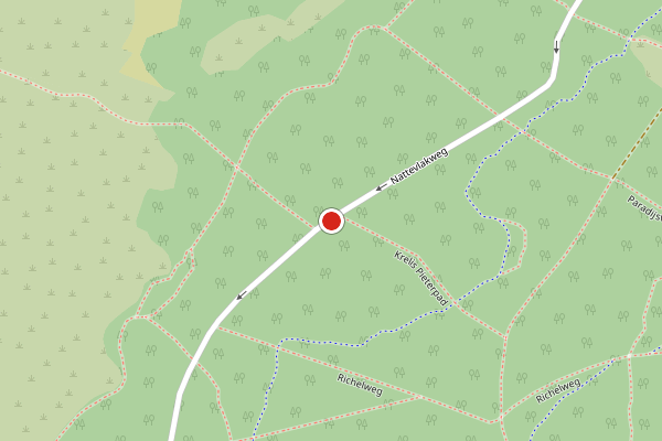 Brandweer-melding op Nattevlakweg, Den Burg op 7 juli, kaart-overzicht
