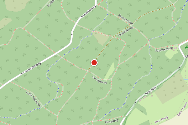 Brandweer-melding op Heidvlakweg, Den Burg op 10 juli, kaart-overzicht