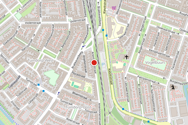Brandweer-melding op Anemonenstraat, Den Helder op 19 juni, kaart-overzicht
